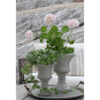 Brolle Urna i Betong, Medium - Grey/Whitewash (6/fpk)