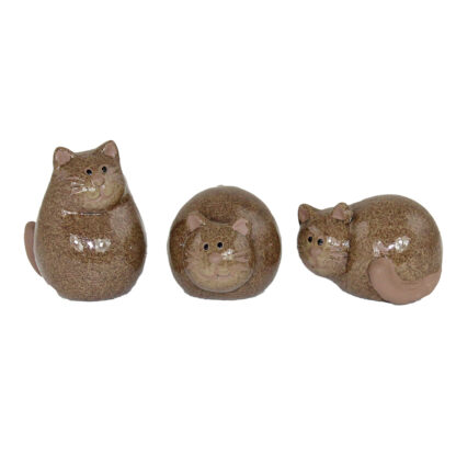 Katt, 3 set X-Small - Brun (24/fpk) - Bild 2