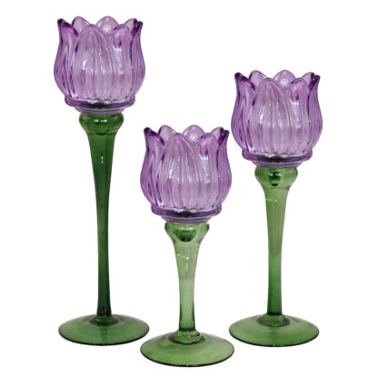 Glastulpan Lykta, Large - Lila (6/fpk)