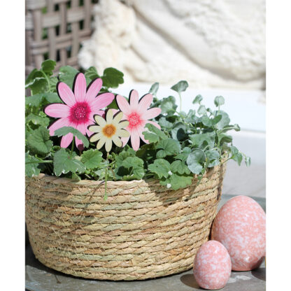 Bobbo Blomsticks, 3 Mix - Rosa, Lila, Gul (48/fpk)