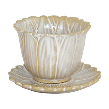 Morran Kaffekopp Plantering m. Fat, Small - Beige (12/fpk)