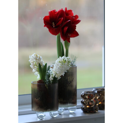 Iris Kruka i Glas, Medium - Brown (9/fpk)