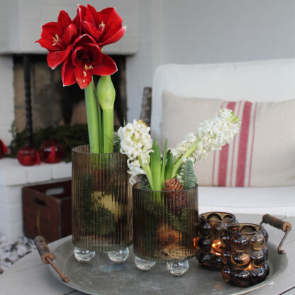 Iris Kruka i Glas, Medium - Brown (9/fpk) - Bild 4