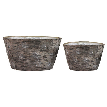 Björn Bark Skål, 2 set - Brun (12/fp)