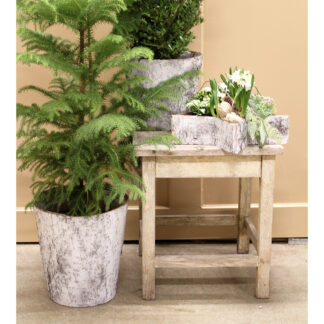 Björn Bark Kruka, 2 set - Natur (6/fp)